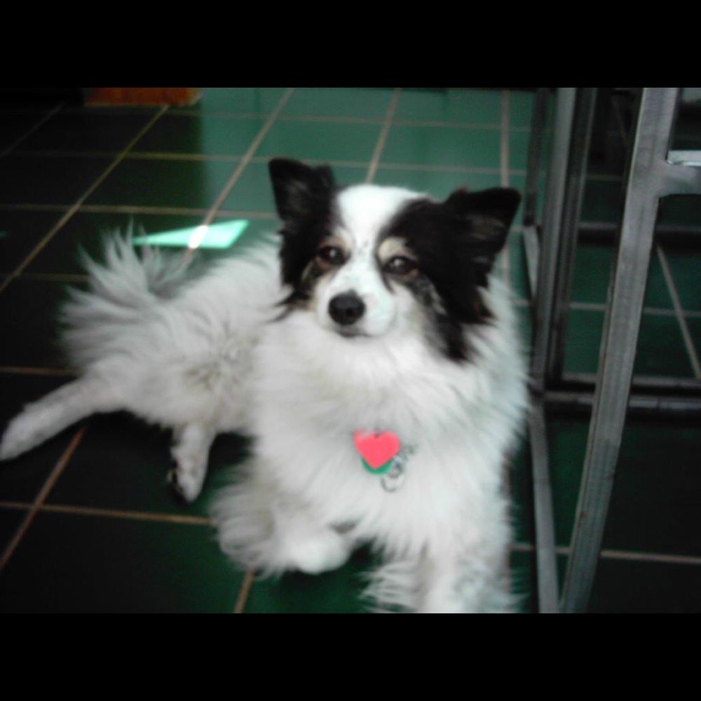 Meet your Posher, Debra